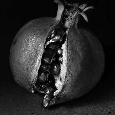 Lee más sobre el artículo Presentación Amics de Capella de Ministrers